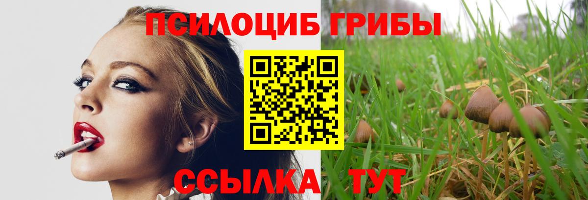 Галлюциногенные грибы Psilocybe  Вход с VPN  Березники 